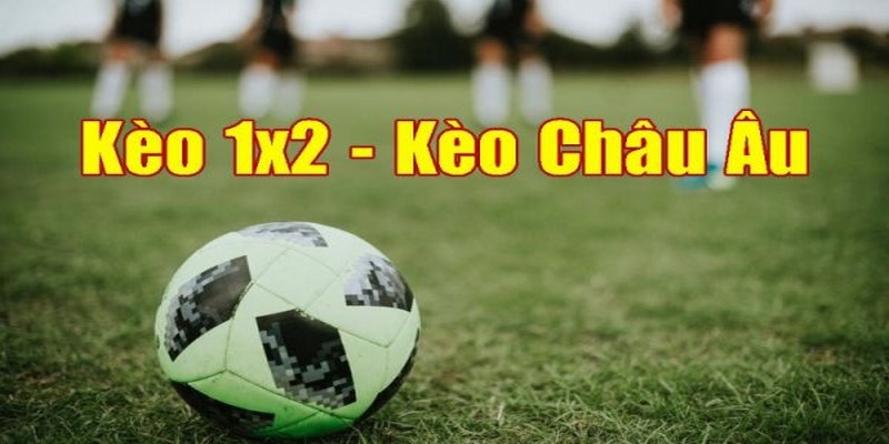 Tỷ lệ kèo châu Âu được nhiều người chọn vì sự đơn giản